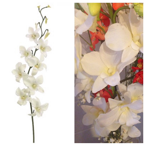 Orchid Dendrobium  - Greenery & Floral - Dendrobium